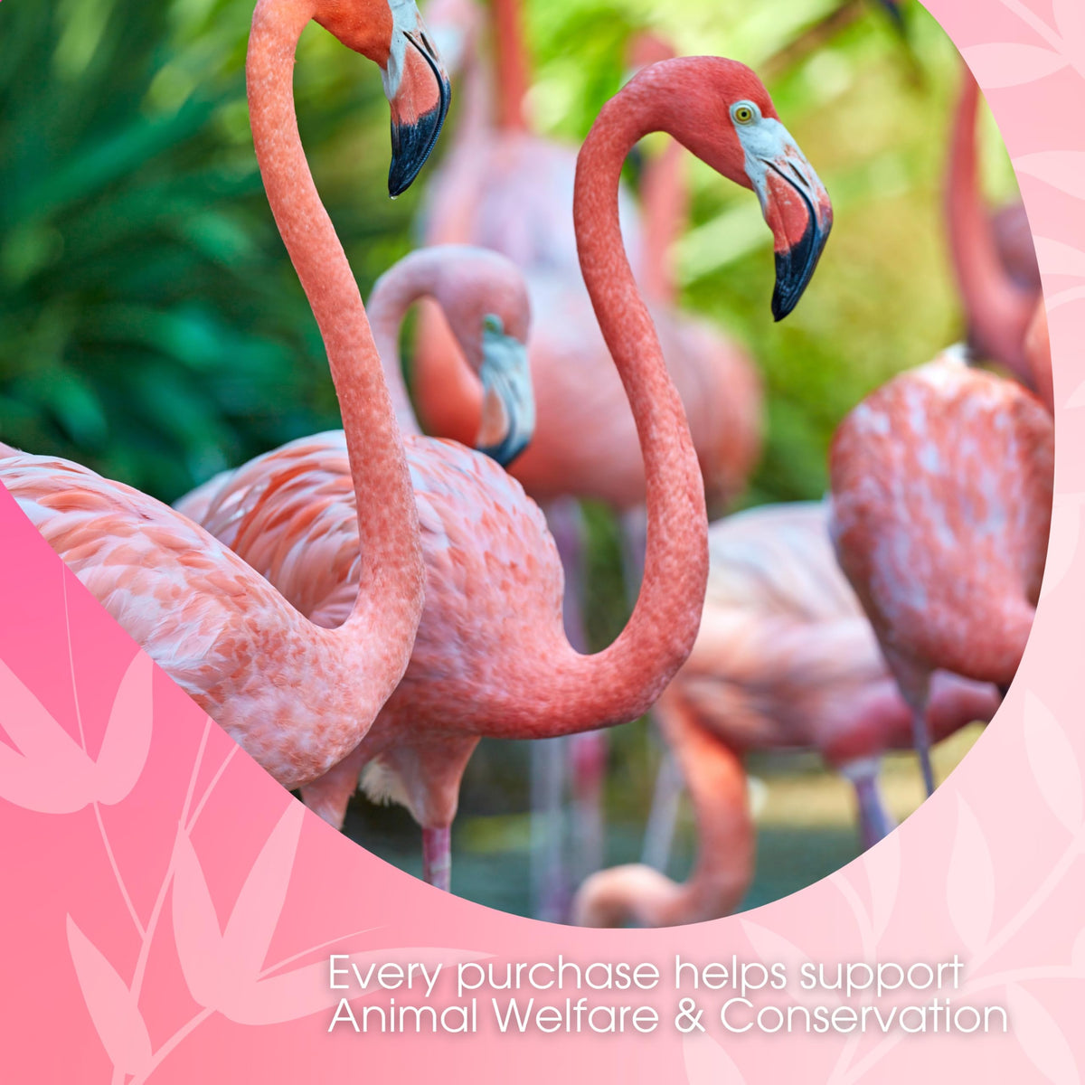 David Rio Flamingo Vanilla Chai spice blend image underscores premium organic spices