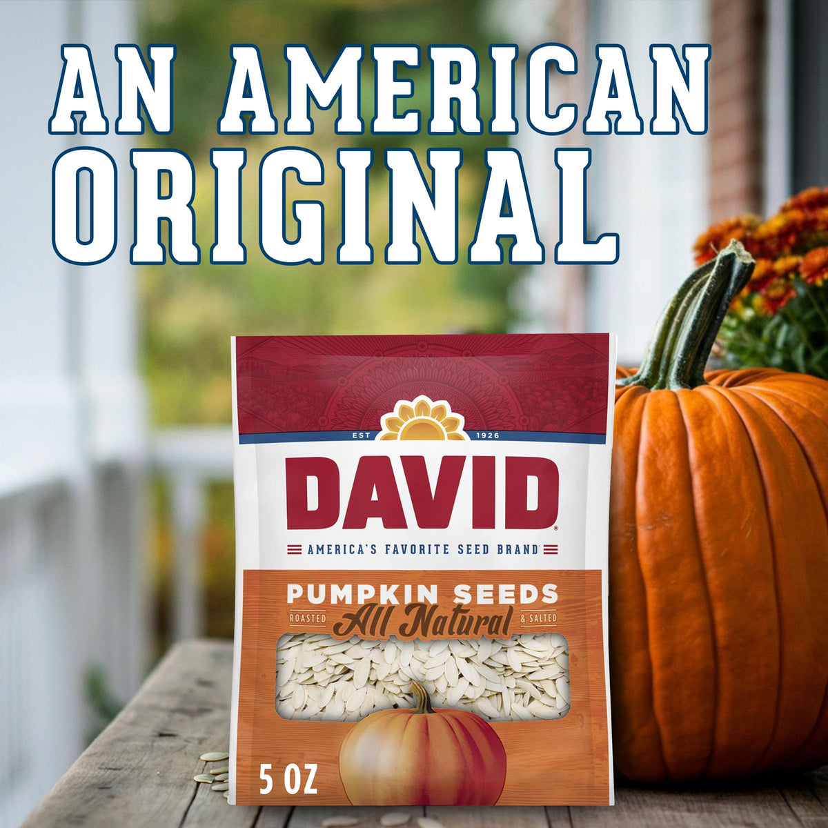 Travel-ready sealed bag of DAVID pumpkin seeds keeps freshness on trips