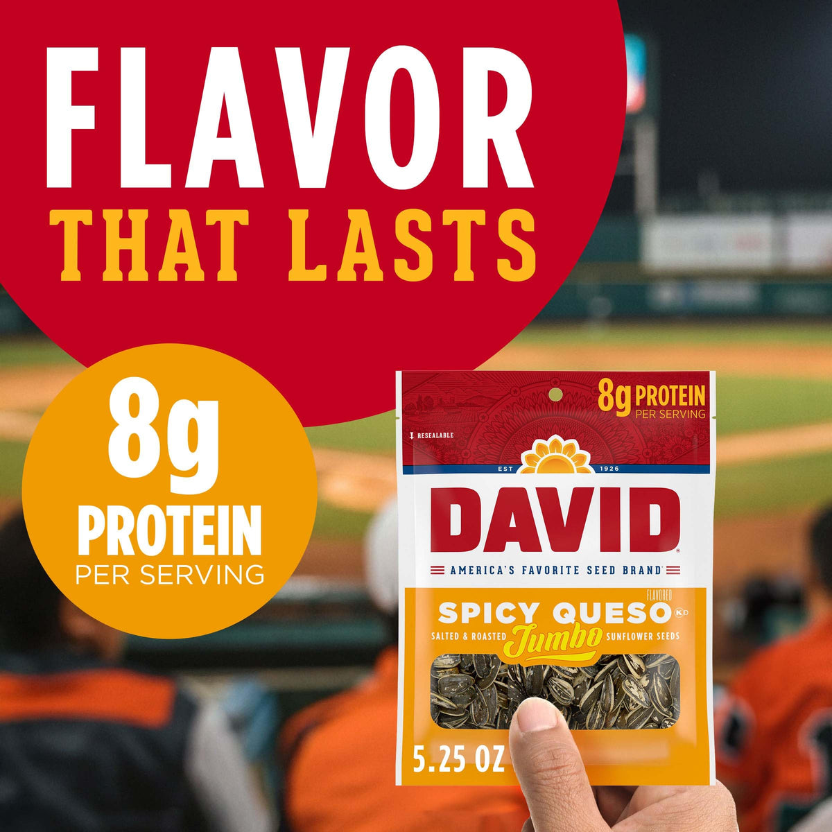 Close-up of DAVID Spicy Queso sunflower seeds with roasted texture and crunchy bite.