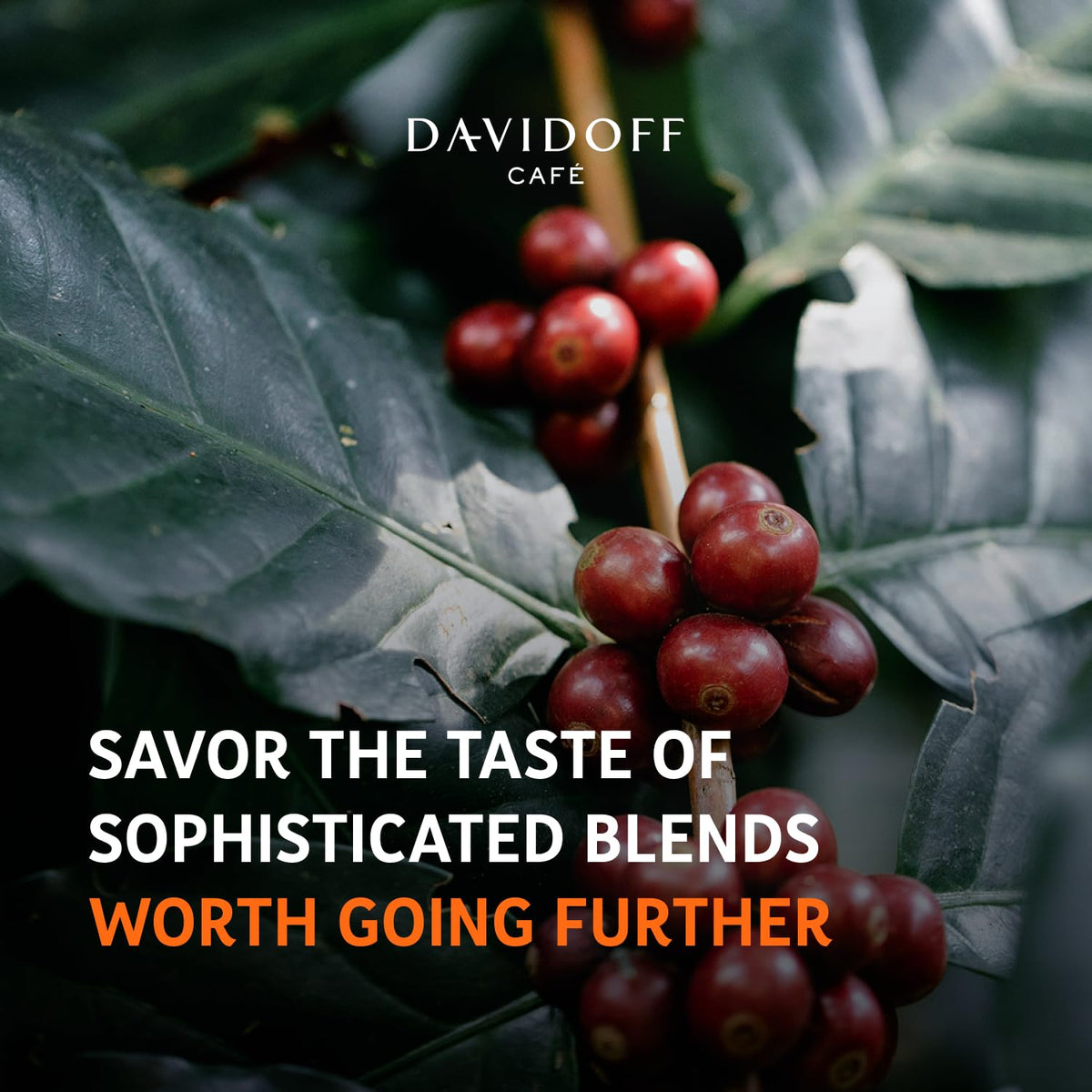 Davidoff Fine Aroma instant coffee sustainability badge signals responsible sourcing.