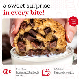 David's Cookies gift plate with jumbo cookies, perfect for sharing.