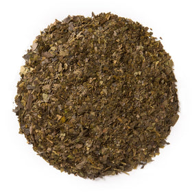 Steeping cup of Davidson's Guayusa Energy reveals earthy, balanced flavor.