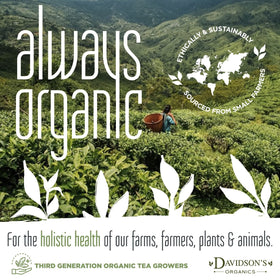 Davidson's Organics tea farm sourcing emphasizes sustainable cultivation and quality