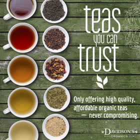 Davidson's Organic Rosehips cup, bright herbal tea ready to sip.