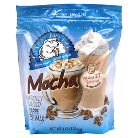 DaVinci Gourmet Frappe Freeze Mocha bag for easy bulk mochas at home or cafe