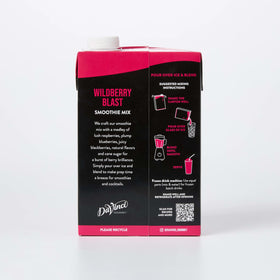 DaVinci Gourmet serving image showcases vibrant berry blend for refreshment