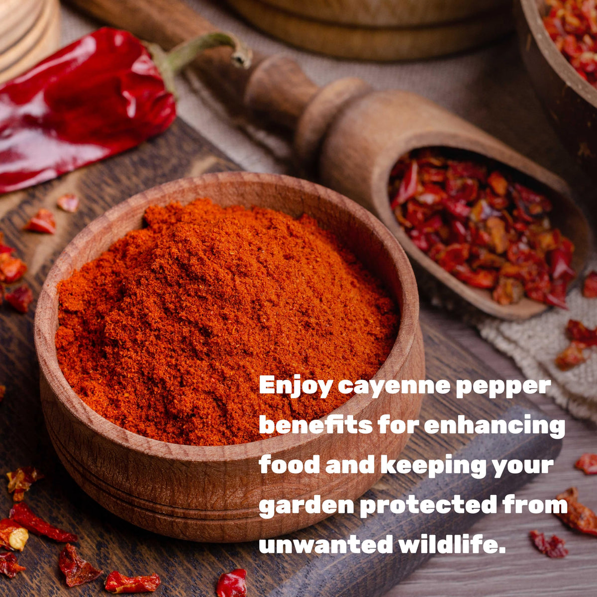 Deal Supplement cayenne powder dusting in a marinade or sauce