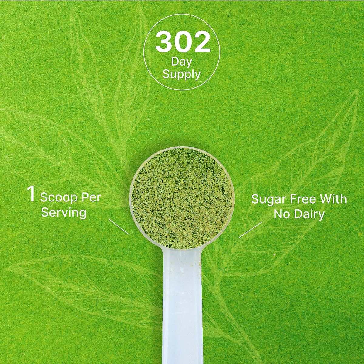 Deal Supplement Japanese sourced matcha green powder showcases authentic flavor potential.