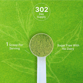 Deal Supplement Japanese sourced matcha green powder showcases authentic flavor potential.