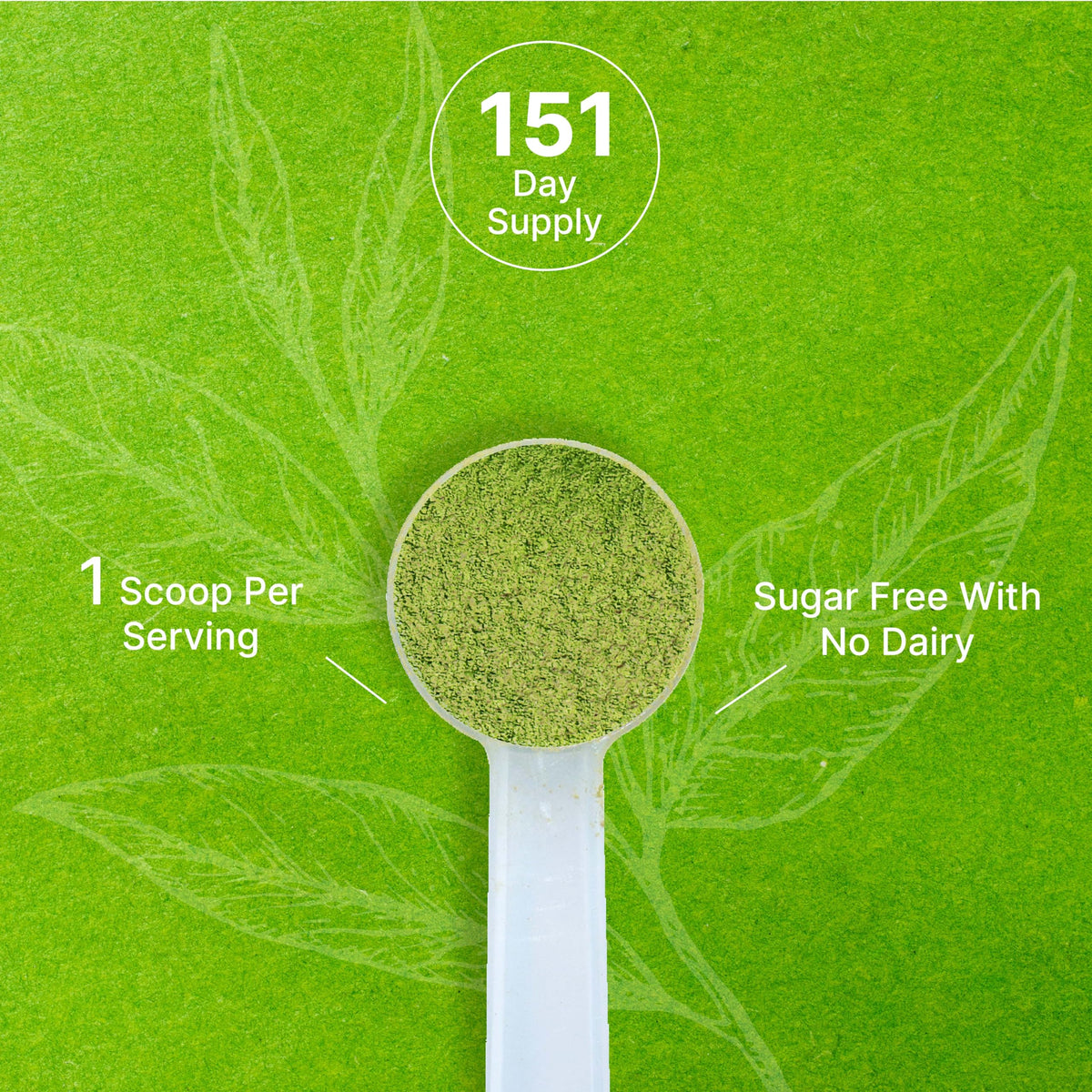 Deal Supplement Matcha for Shakes – adds vibrant color and lasting energy to smoothies.
