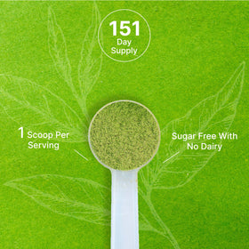 Deal Supplement Matcha for Shakes – adds vibrant color and lasting energy to smoothies.