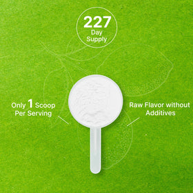 Deal Supplement Organic Lemon Powder baking-dish enables crisp lemon notes in desserts