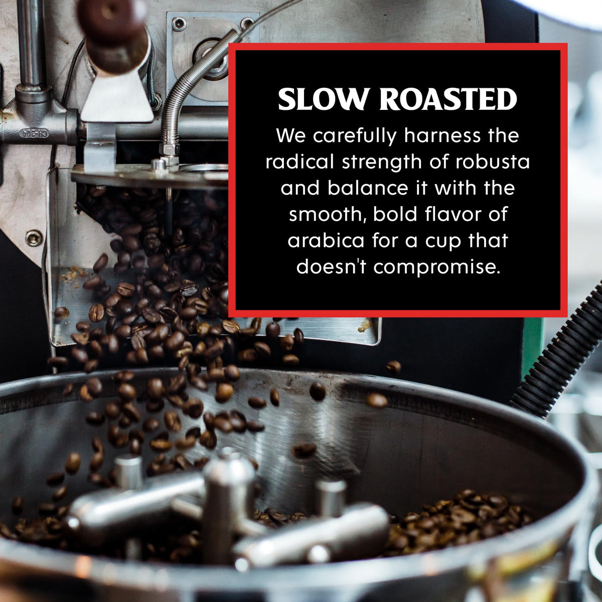 Death Wish Coffee Blueberry Vanilla beans closeup showing bold roast
