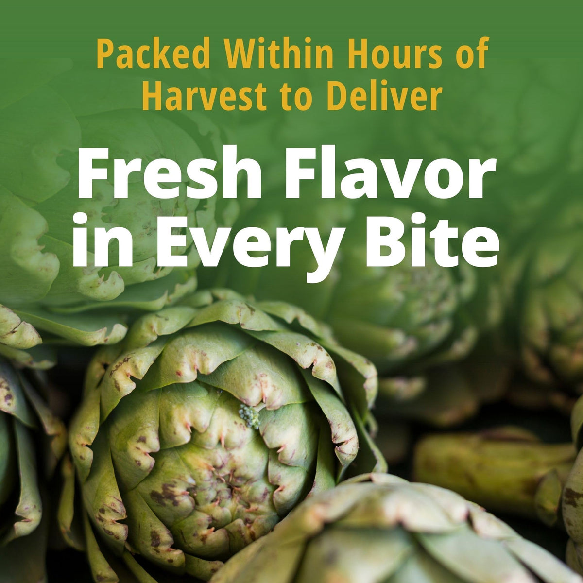 Del Monte artichoke hearts with pasta, savory enhancement