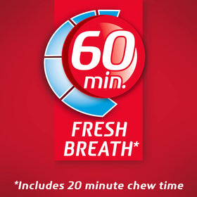 Dentyne Fire gum inside a car for on the go freshness