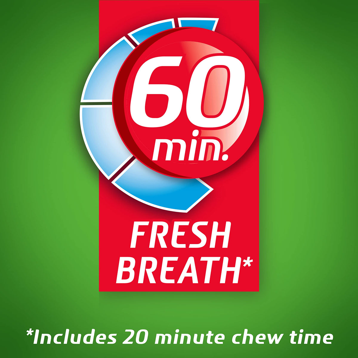 Dentyne Ice Spearmint Sugar-Free Gum pocket-pack in hand for quick refresh.