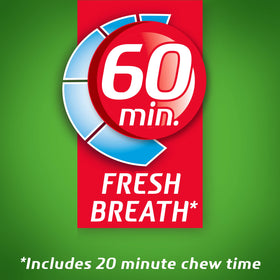 Dentyne Ice Spearmint Sugar-Free Gum pocket-pack in hand for quick refresh.