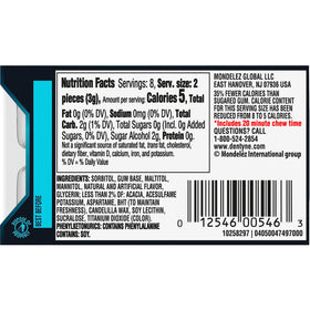 Portable Dentyne Ice Winter Chill gum pack ideal for purses and bags