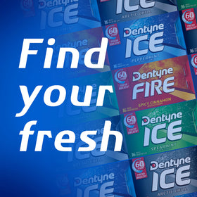 Dentyne Ice Winter Chill sugar-free gum offering minty chill without sugar