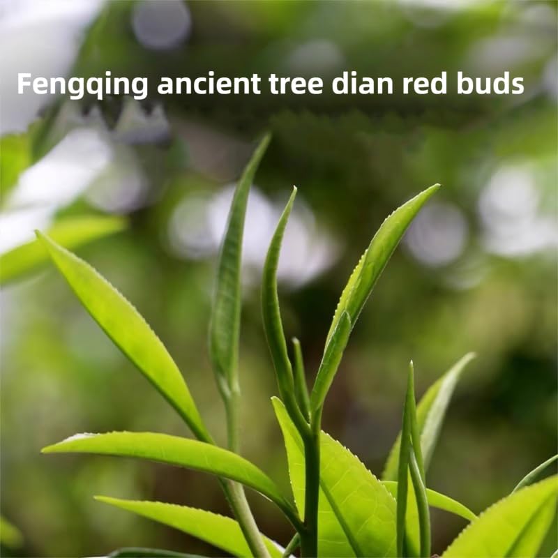 DIAN MAI HAO Yunnan Golden Special golden tips glow in gentle light.