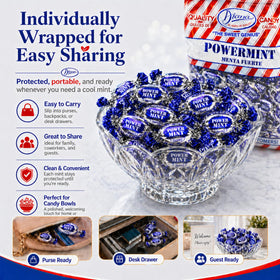 Diana Power Mint travel case-ready package for easy carrying.