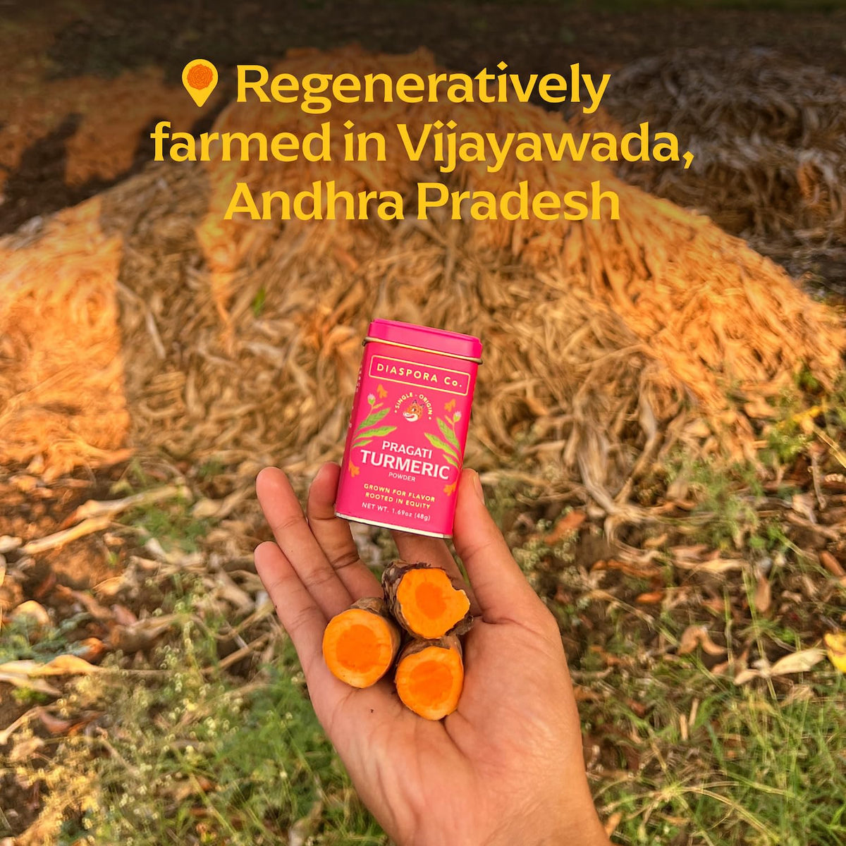 Diaspora Co Pragati turmeric in golden milk cup suggests daily nourishment