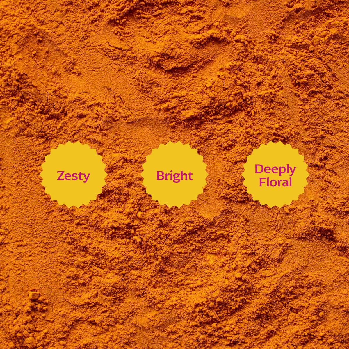 Diaspora Co Pragati turmeric powder close-up reveals its bright golden hue