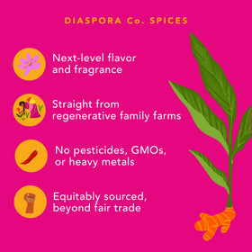 Diaspora Co Pragati turmeric powder with a measuring spoon for precise curry prep