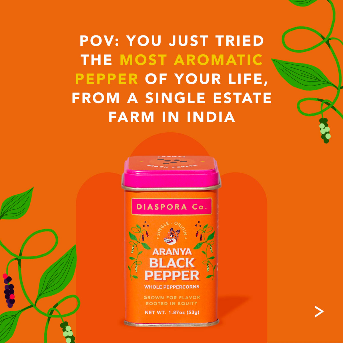 Ground Aranya pepper in grinder releasing aromatic warmth for eggs and vegetables.