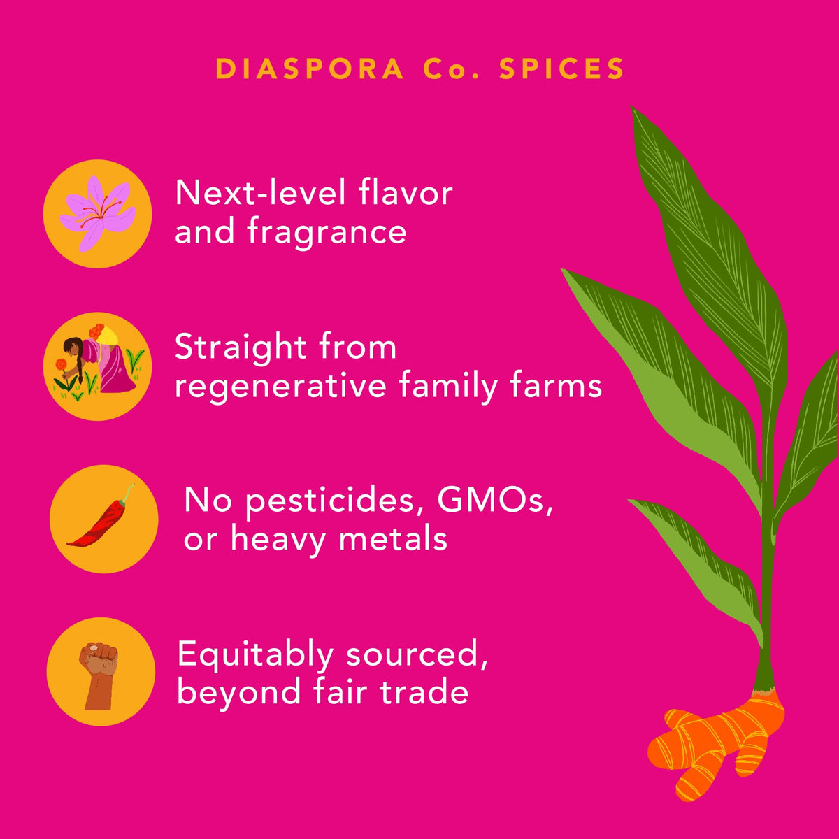 Diaspora Spice Co. Golden Milk Latte glass showcases vibrant turmeric latte with spice-forward flavor