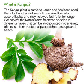 DIET COOKER Shirataki Noodles keto-friendly option for healthy dieting.
