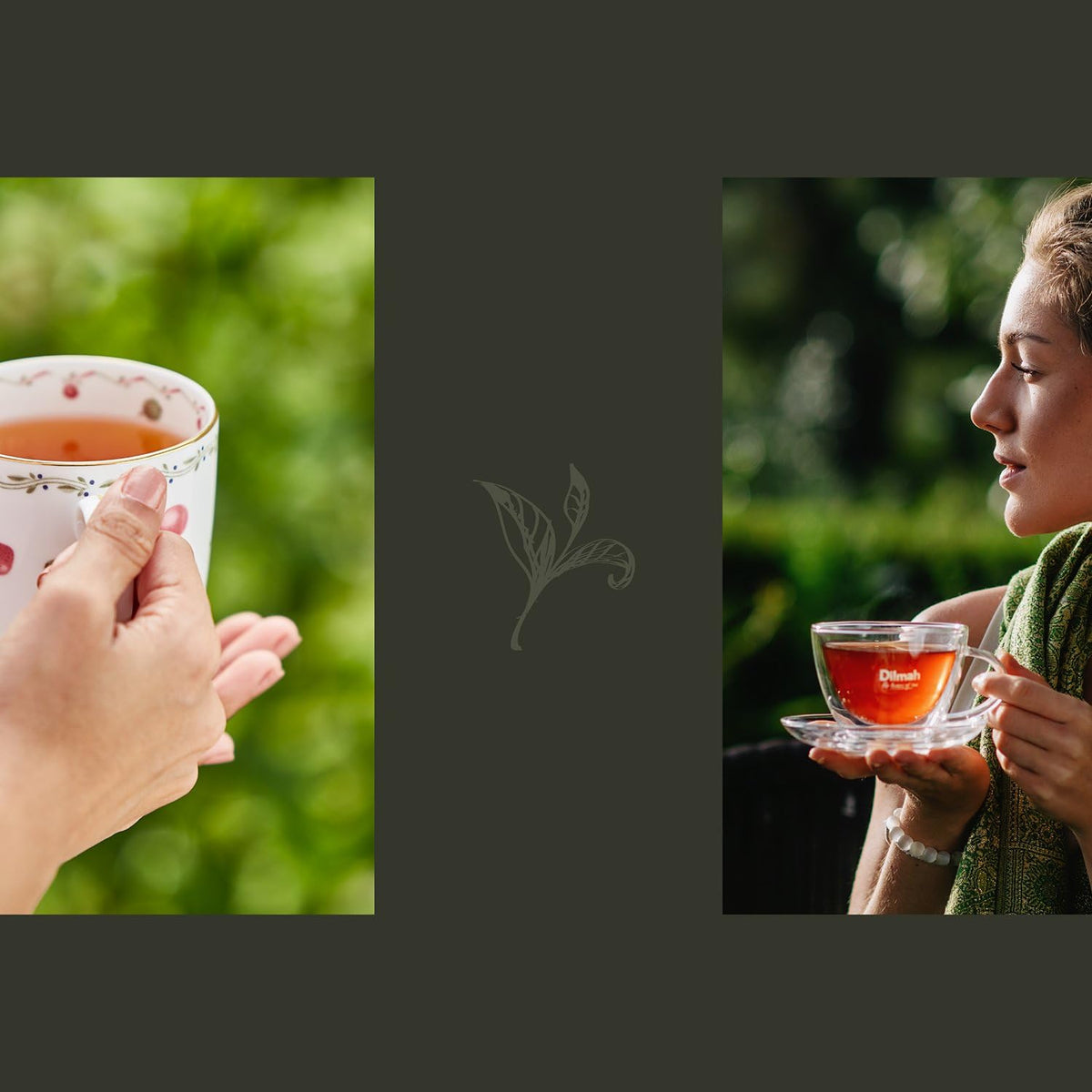 Dilmah brew pour-over cup illustrating a strong, inviting brew.