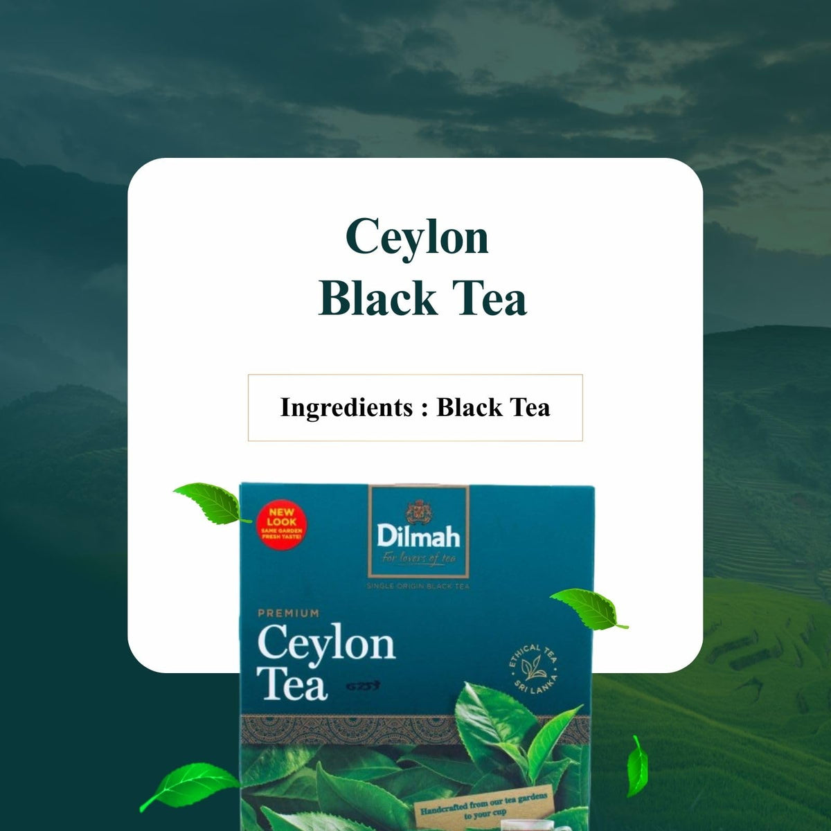 Dilmah giftable tea tin highlighting sustainable sourcing.