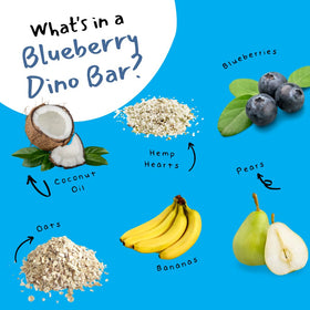 DINO BARS on-the-go pack, ready for busy mornings and travel.