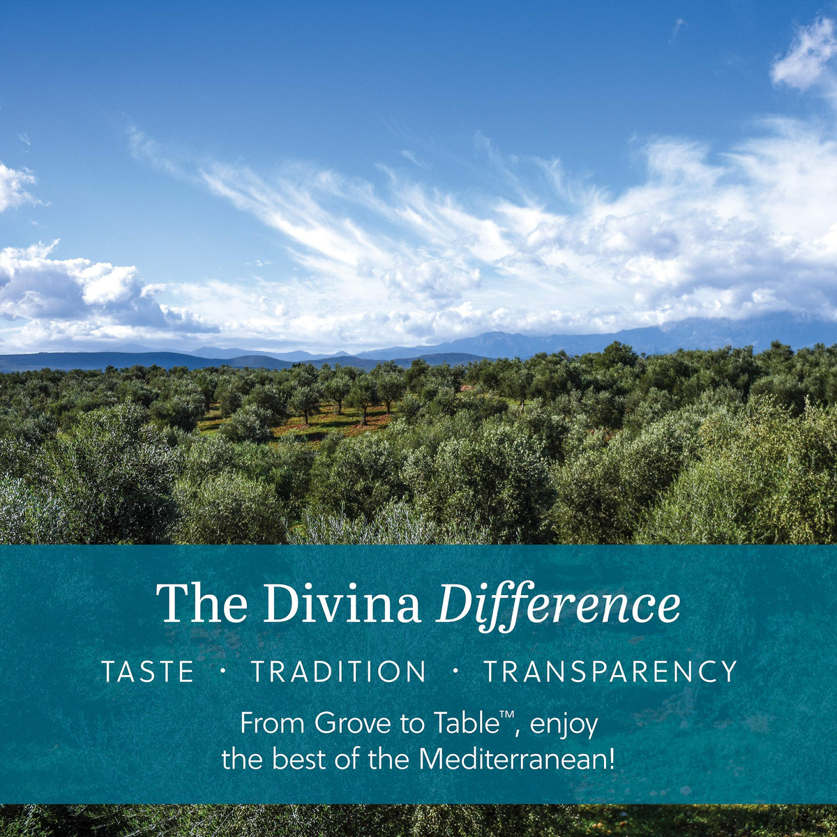 Divina label highlights dairy-free and vegan-friendly ingredients
