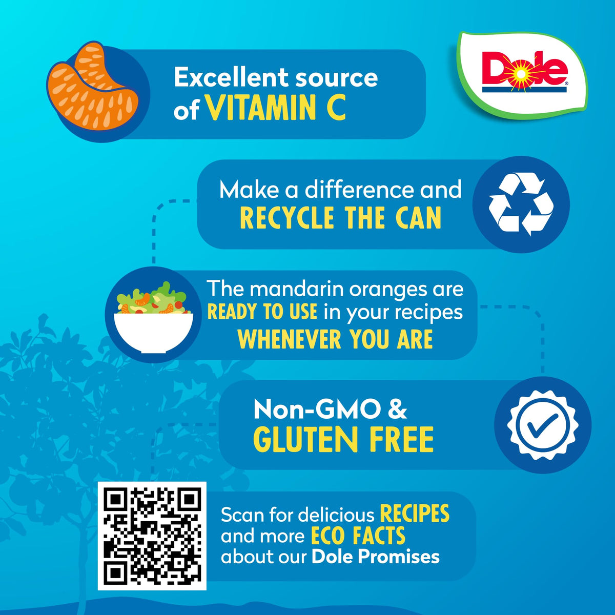 Close-up of Dole mandarin orange slices in 100% juice, ideal for quick snacks.