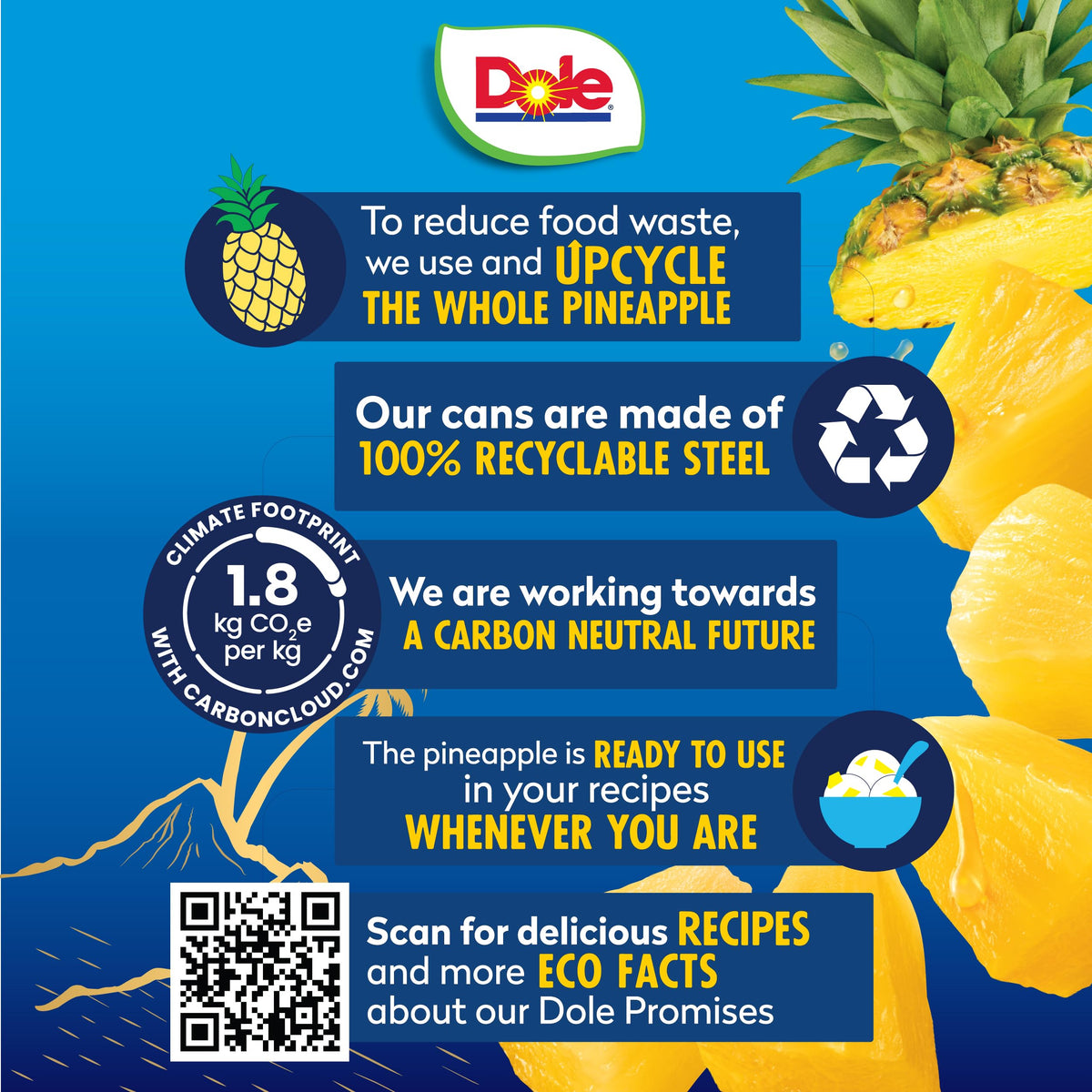 Dole Tropical Gold pineapple chunks used as a colorful salad topping.