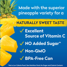 Dole Tropical Gold pineapple chunks in a bowl, ideal for salads and bowls.