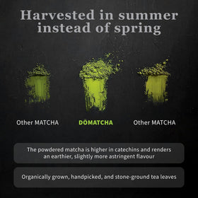 DoMatcha Japanese tea leaves selected showcasing authentic flavor and aroma.