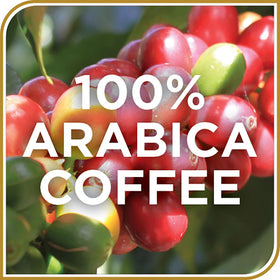 Heritage image illustrating four generations of Don Francisco’s Coffee.