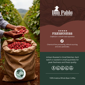 Don Pablo Brazil Cerrado cup steam emphasizes medium-dark roast intensity