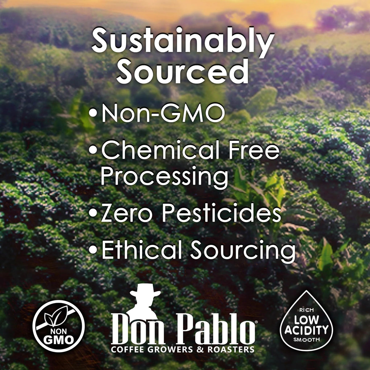 Cafe Don Pablo packaging label highlighting GMO-free blend.
