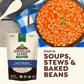 Doudlah Farms Navy Beans harvest in regenerative soil setting
