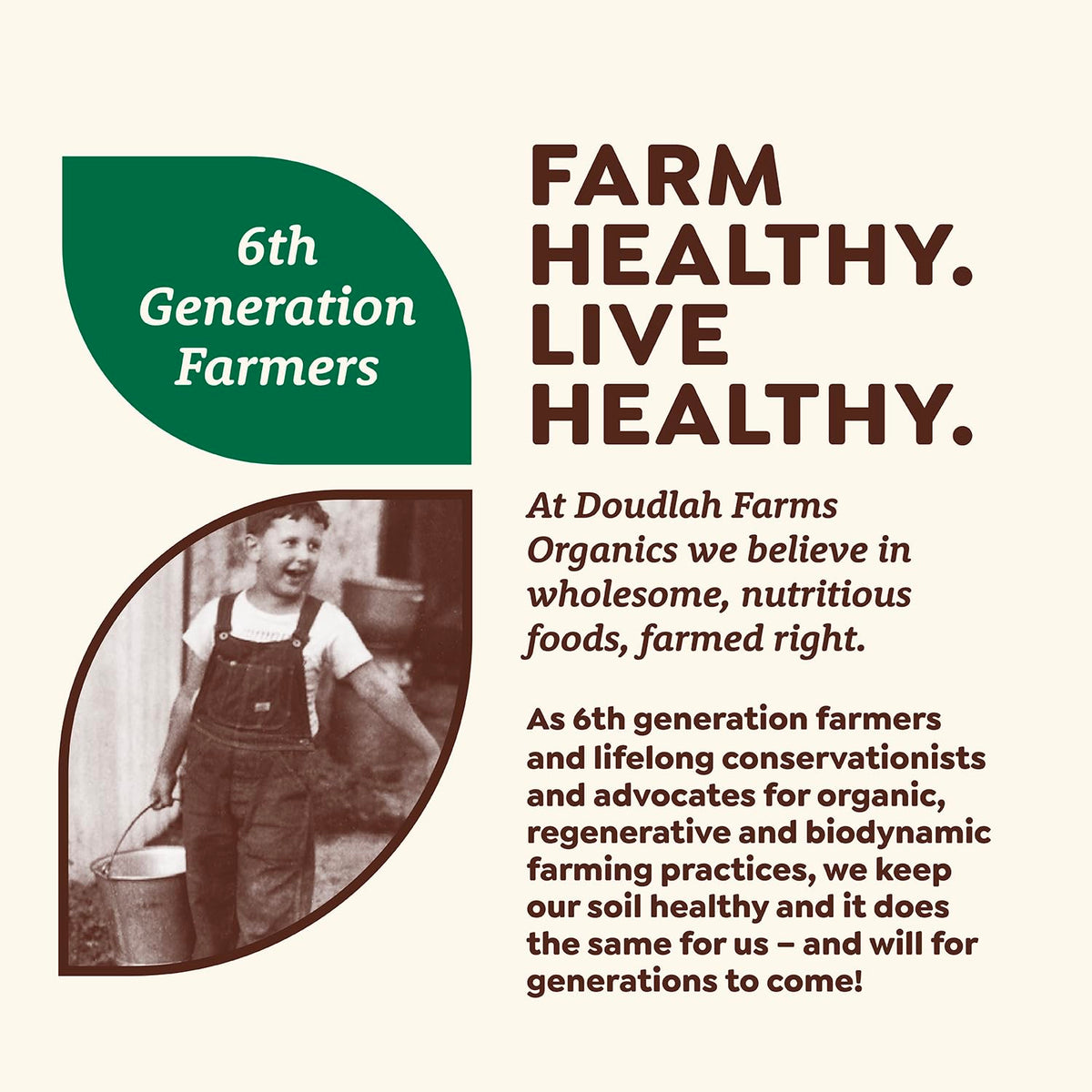 Doudlah Farms beans from field to table, highlighting regenerative farming.