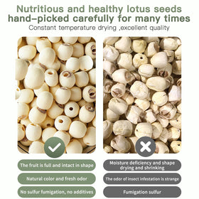 DOZO lotus seeds drying process preserves flavor