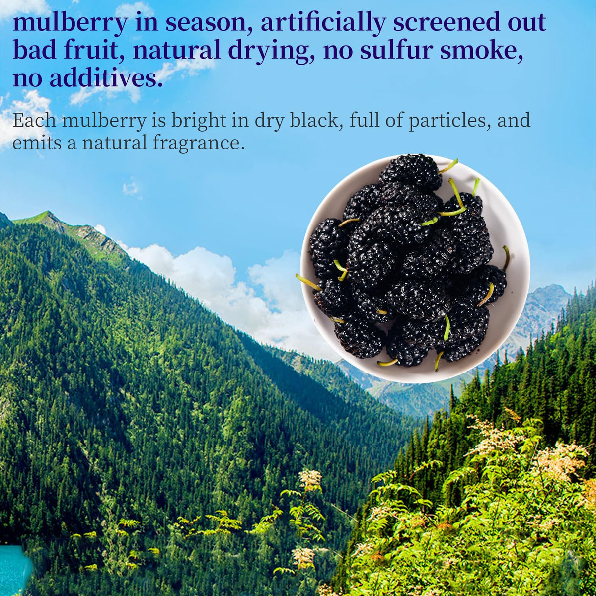 DOZO mulberries soak in hot water; gentle infusion boosts ruby-colored tea aroma.