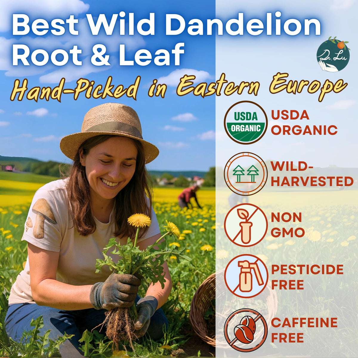 Dr. Lu dandelion root tea bags, ready for a quick, liver-friendly daily brew.