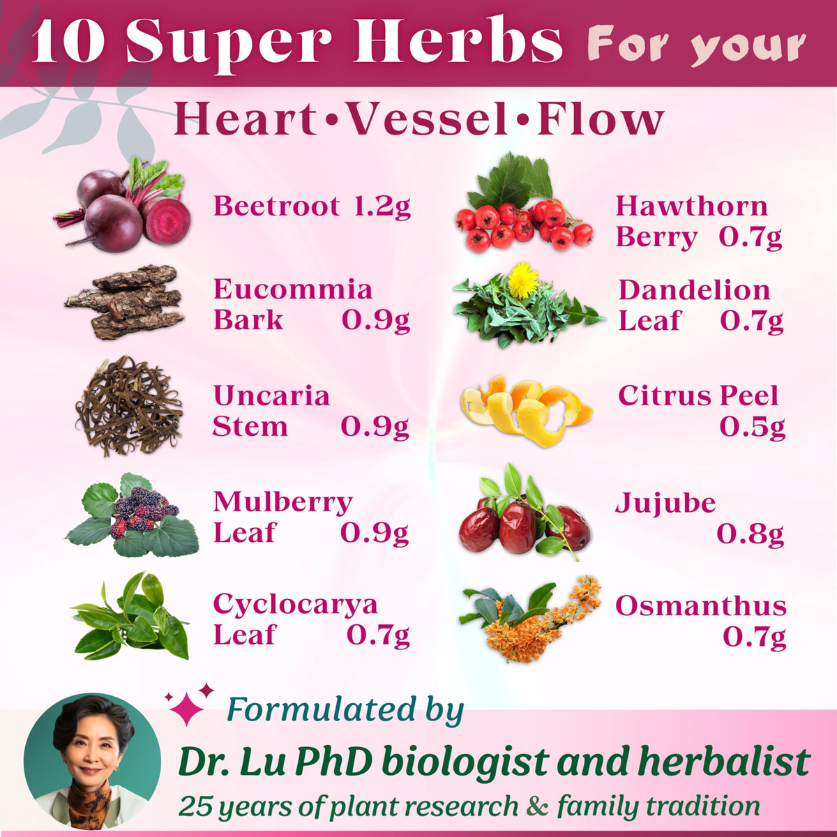 Mulberry leaf and dandelion herbs featured in Dr. Lu blend