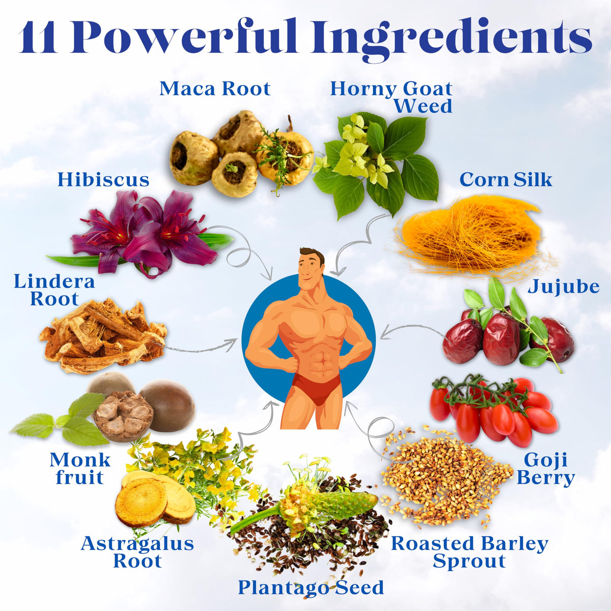 Dr. Lu's Happy Tea for Guy maca root visual emphasizing natural stamina.