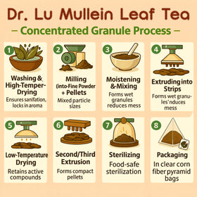 Steam rising from Dr. Lu tea showing herbal aroma